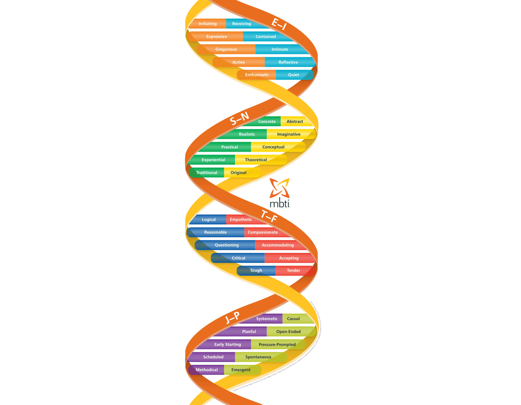 MBTI personality types infographic