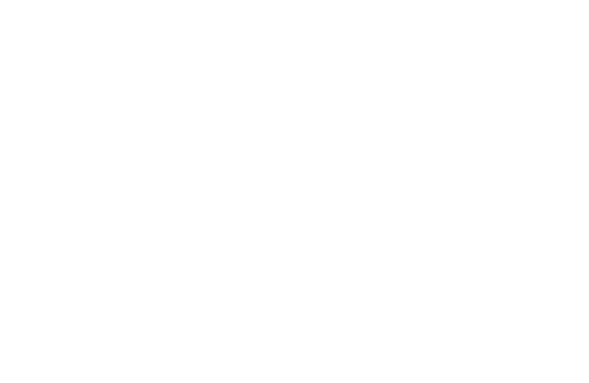 Nip Logo