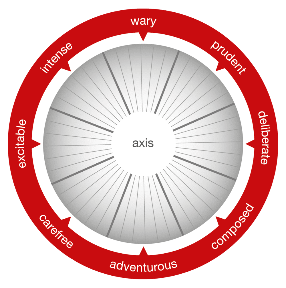 Risk Compass (1)